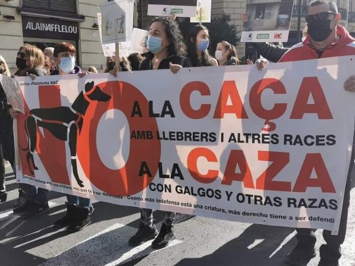 FB_IMG_1644334790333